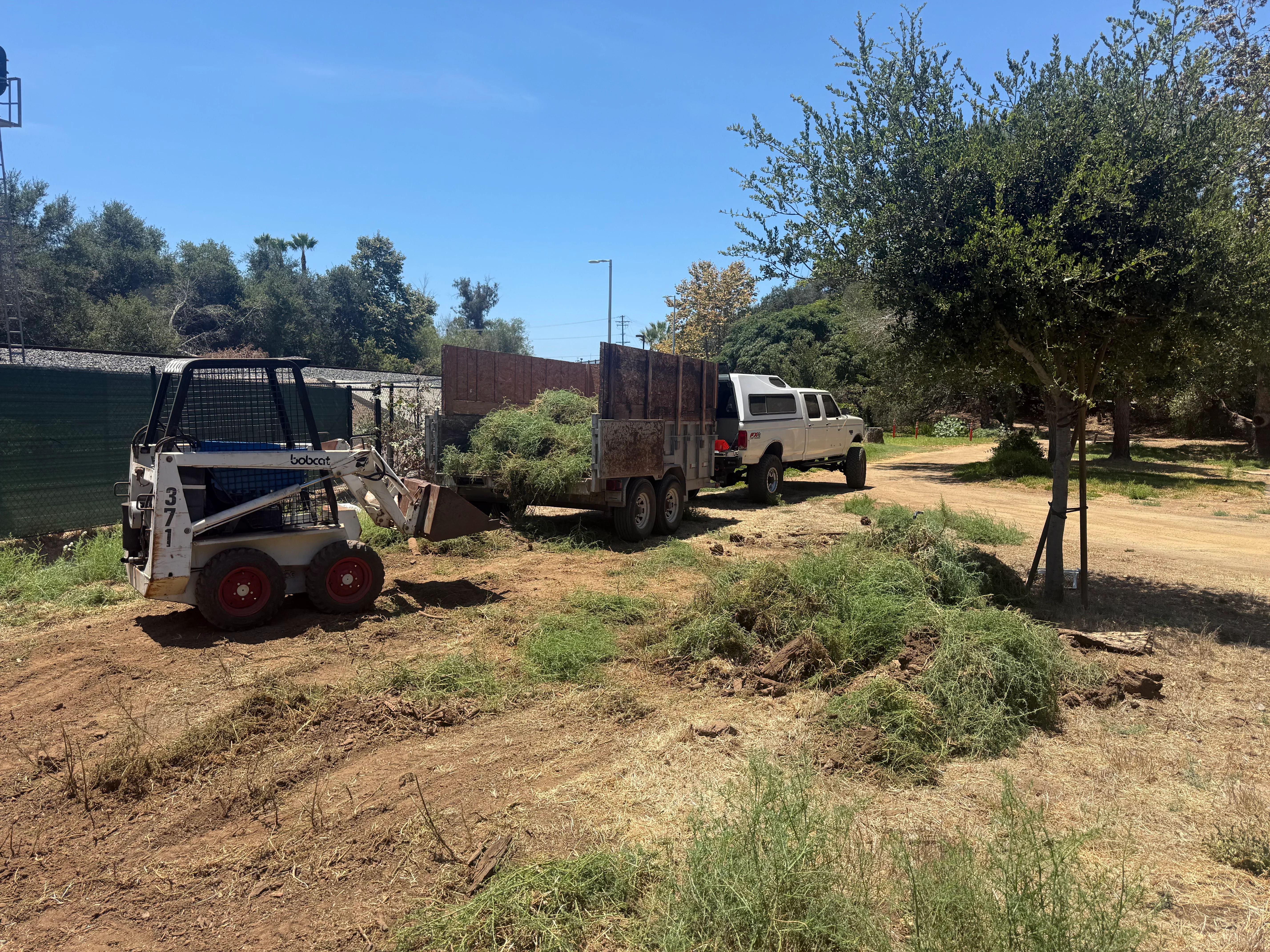 Bobcat skid steer loader and dump truck clearing overgrown land with vegetation and debris removal